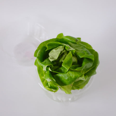 Lettuce, Butter, Living, 1ct, B.C.