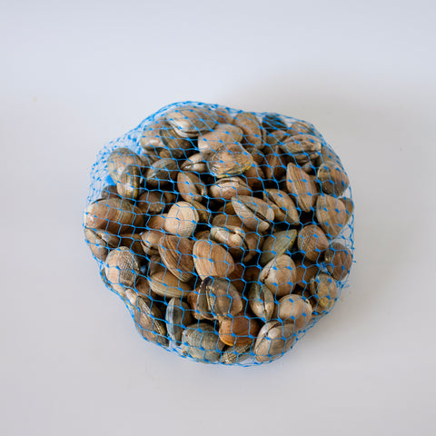 Bag of clams on a white background