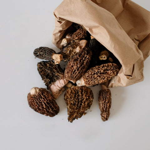 Mushrooms, Morels, 0.5lb, B.C, Ponderosa Mushrooms