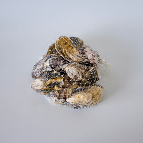 Bag of oysters on a light gray background
