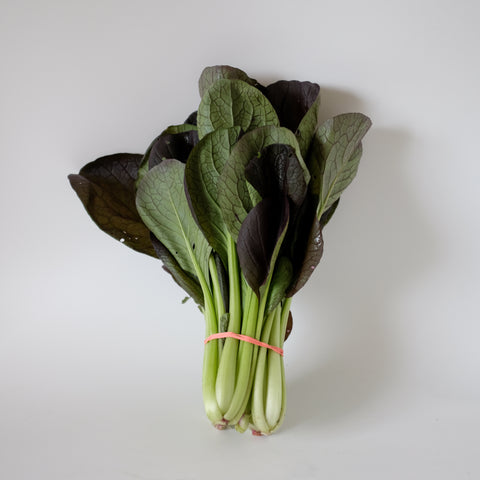 Pac Choi, 1 bunch, Approx 12 oz, Organic, Tatlo Road Farm