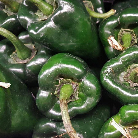 Poblano Peppers