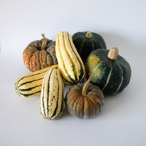 Squash, Harvest Mix, 10lbs, Green Fire Farm