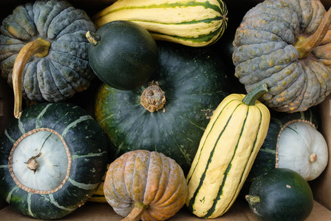 Welcome to the Harvest