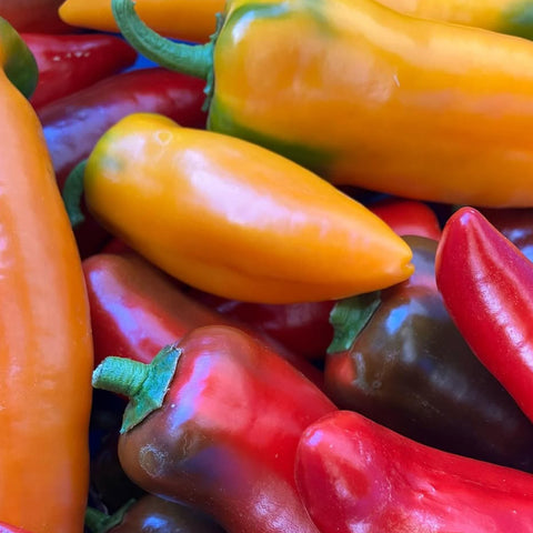 Peppers, Sweet and Colourful, Organic, 1lb, Tatlo