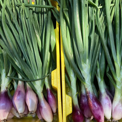 Onions, Red Torpedo, with Tops, 1 lb